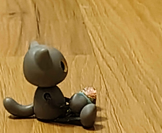 [Image: flowerkitty.png]