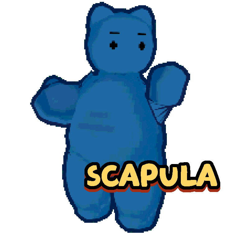 [Image: scapula-1-1.png]