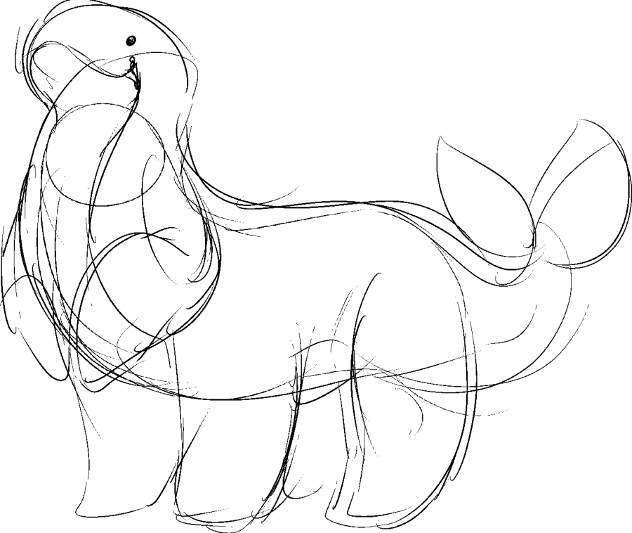 whale.png