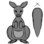 kangaroo.png