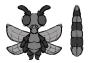 tcpdex:dragonfly.png